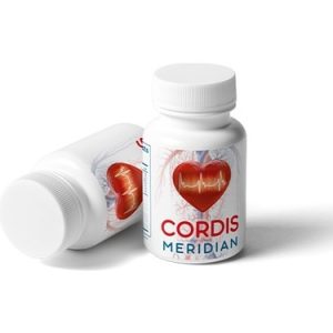 Cordis Meridian